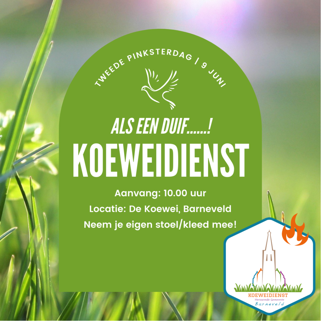 Koeweidienst